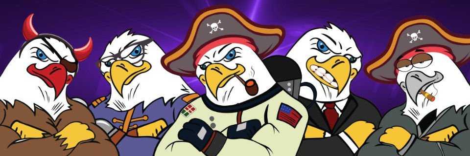 DominantEagles's profile banner image