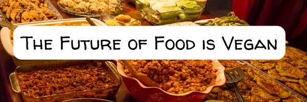 Evolotus Profile Banner