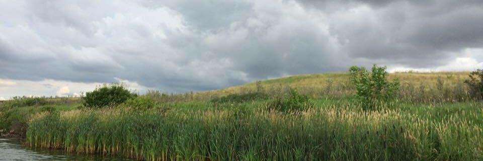 cjrossie01's profile banner image