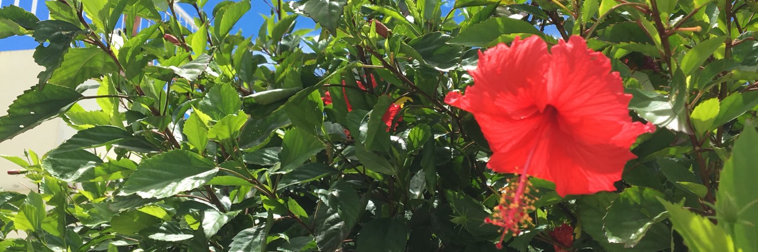 chnrn_24's profile banner image