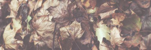 KayleeBrianne's profile banner image