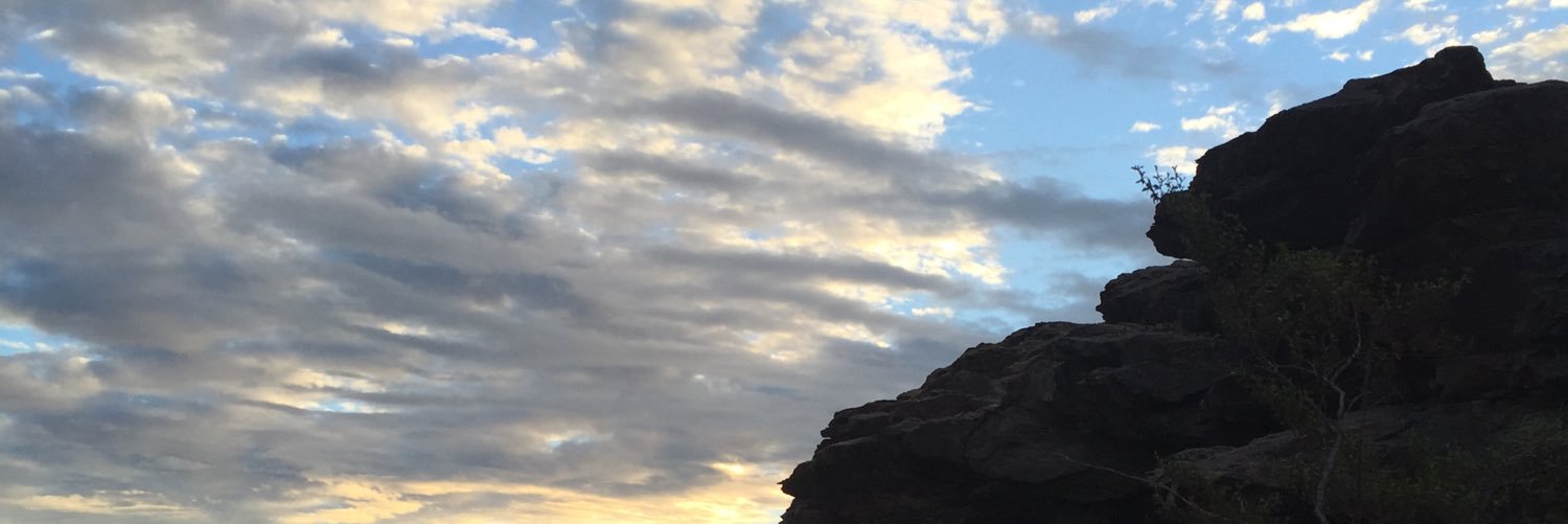 frizwiz's profile banner image