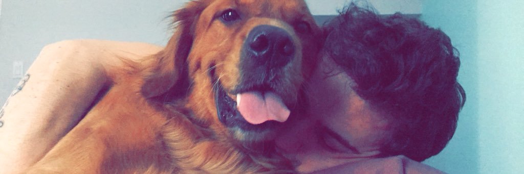 hayleypearsonxo's profile banner image