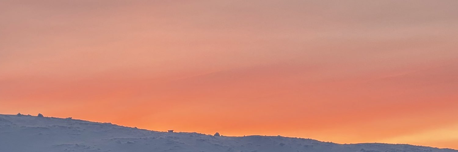 axuruusu's profile banner image