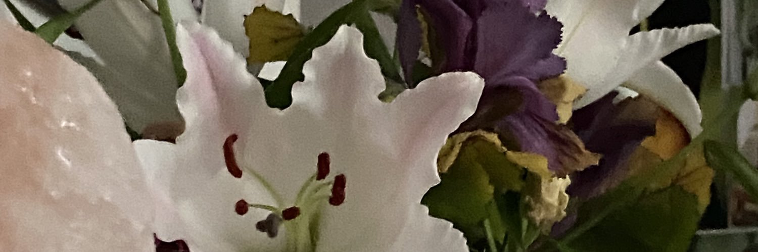 gracebrk's profile banner image