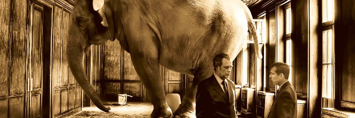 𝘋𝘢𝘵𝘢𝘷𝘪𝘻 banner