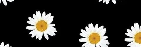 tannya31's profile banner image
