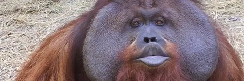 Daisykins74's profile banner image