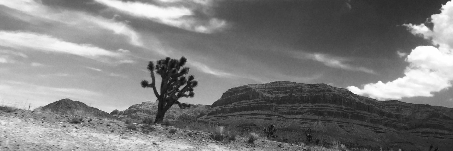 AngieKurschner's profile banner image