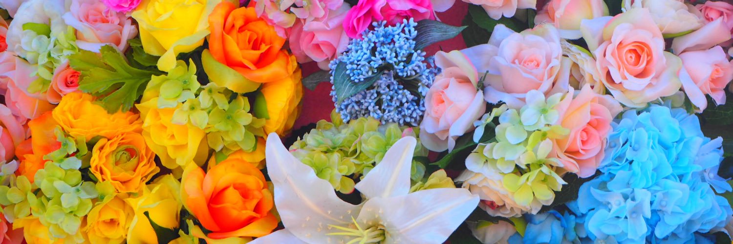fkt_ptk's profile banner image
