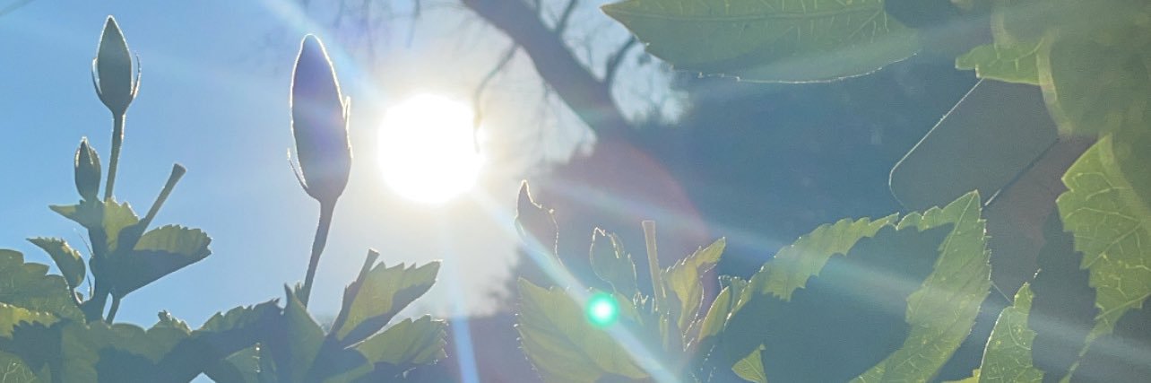 glulu_'s profile banner image
