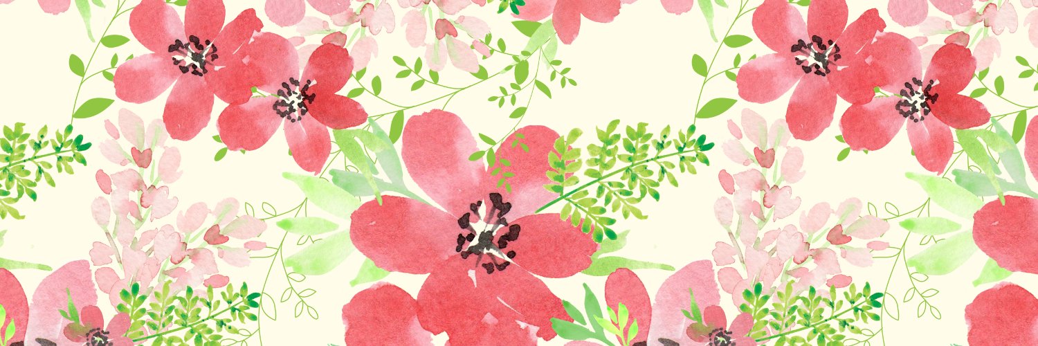 DebiSeltzer's profile banner image