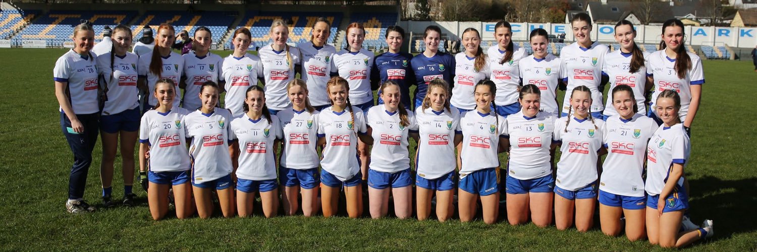 Wicklowlgfa's profile banner image
