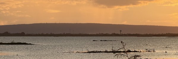 memoday91 Profile Banner