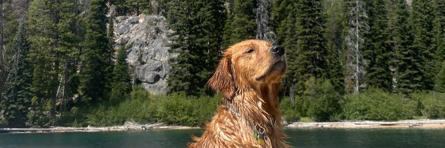 Will Merchant banner