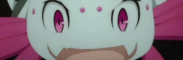 Calvisma's profile banner image