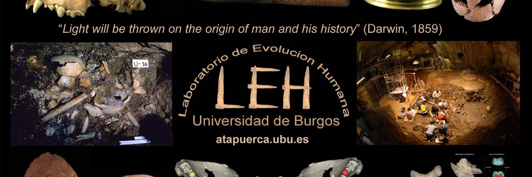 laboratorio EH's banner