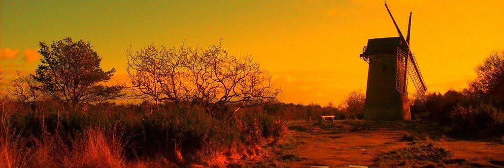 Lawrence Monk banner