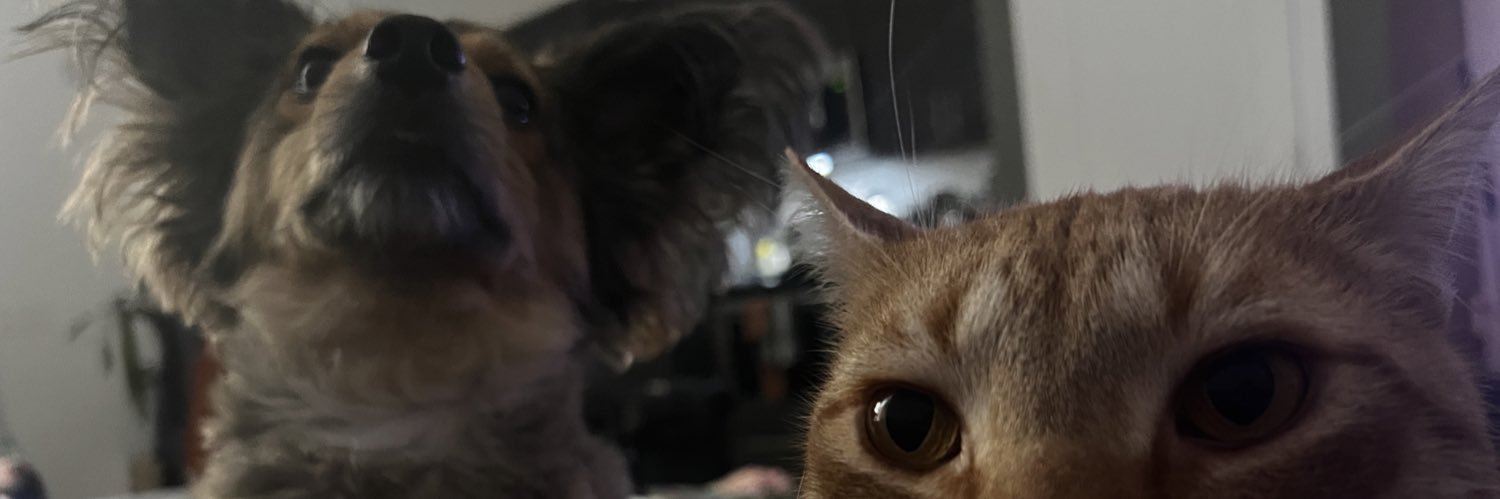 fergucd's profile banner image