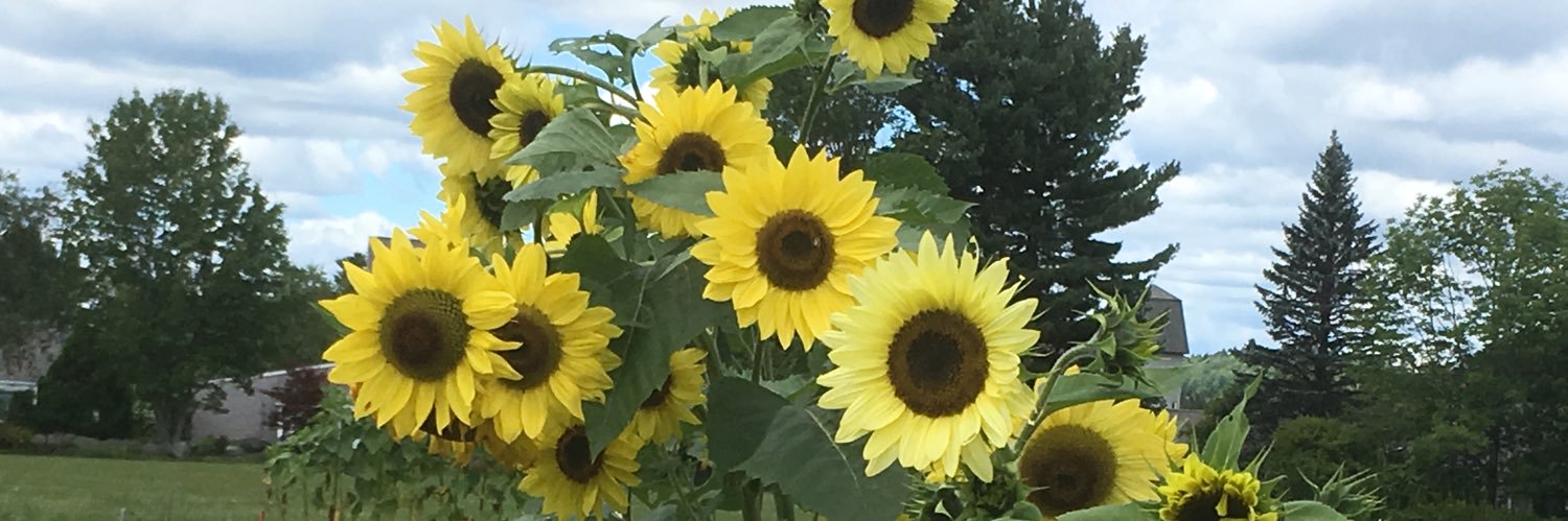 New Englander 🇺🇦 banner