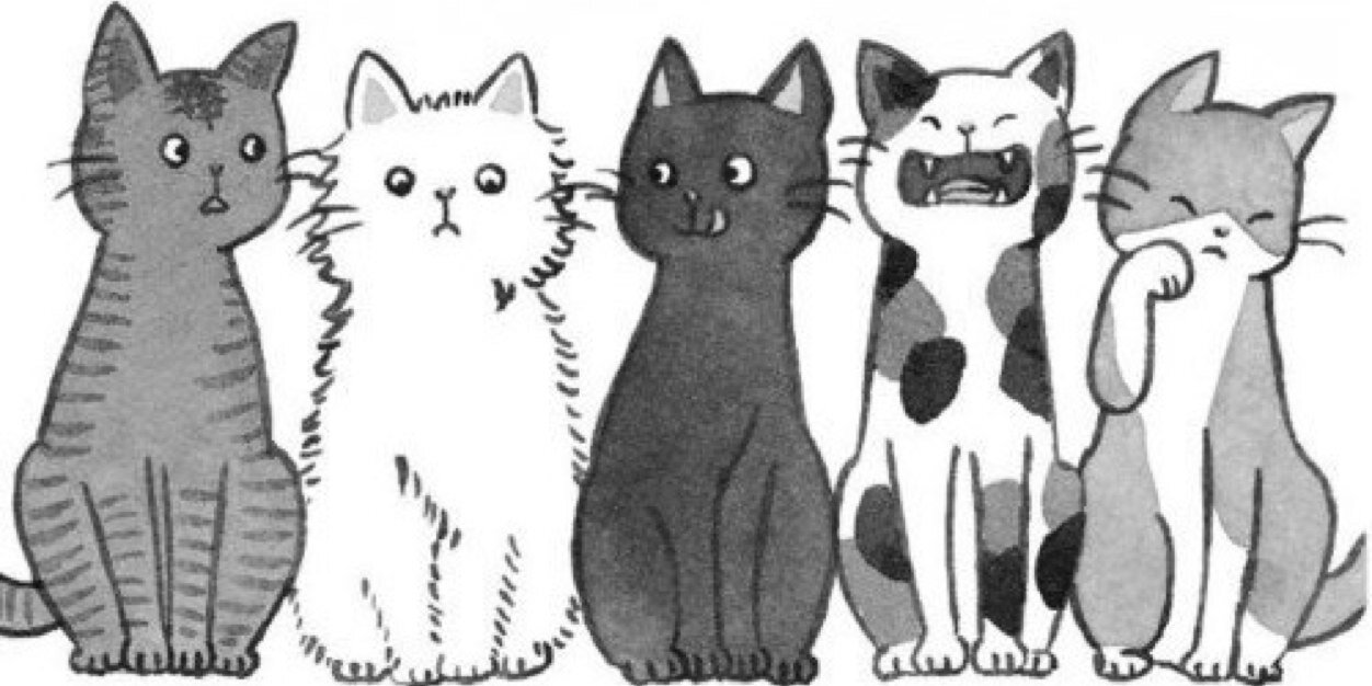 EmiliePollard's profile banner image