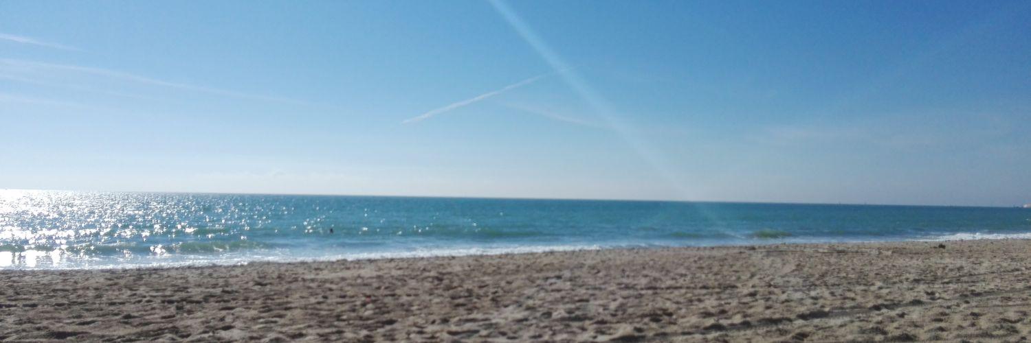 yocalacabeza's profile banner image