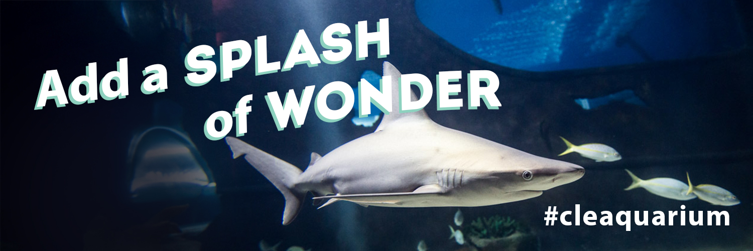Greater Cleveland Aquarium's banner
