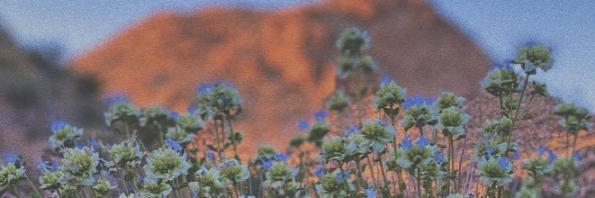 Eva ✨ banner