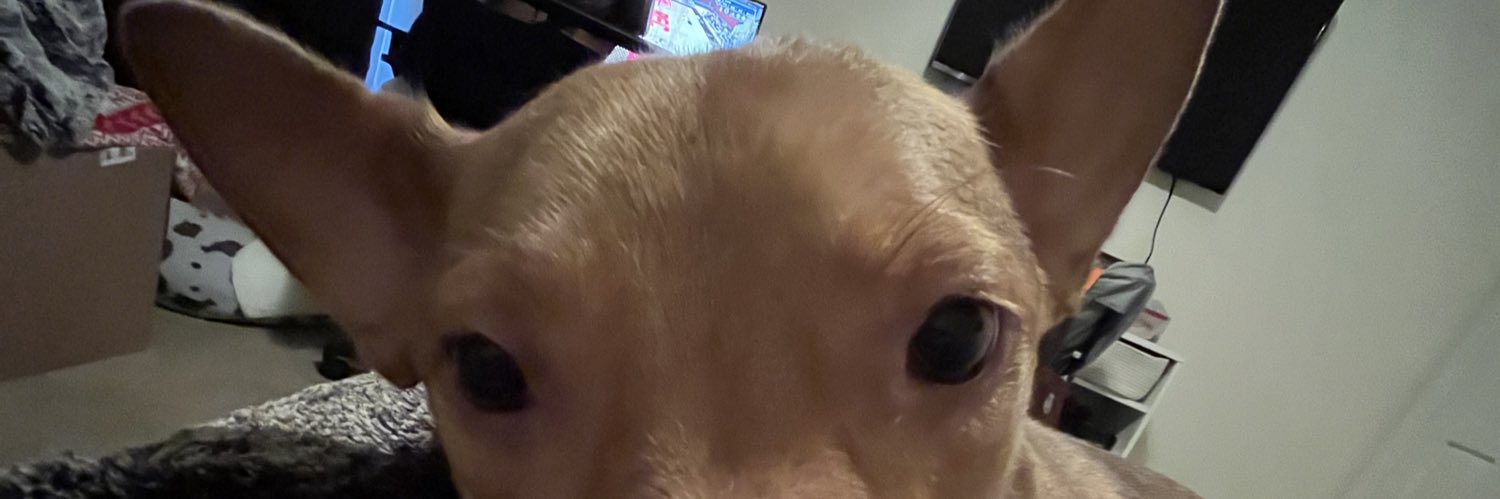_madhow_'s profile banner image