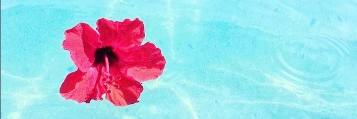 koki_monama's profile banner image