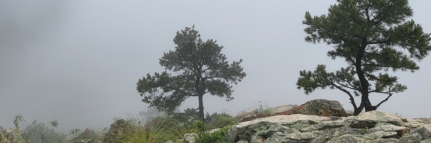 blockstache's profile banner image