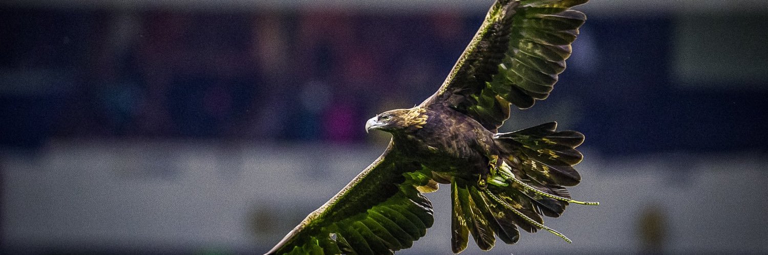 Alvaro Fidalgo banner