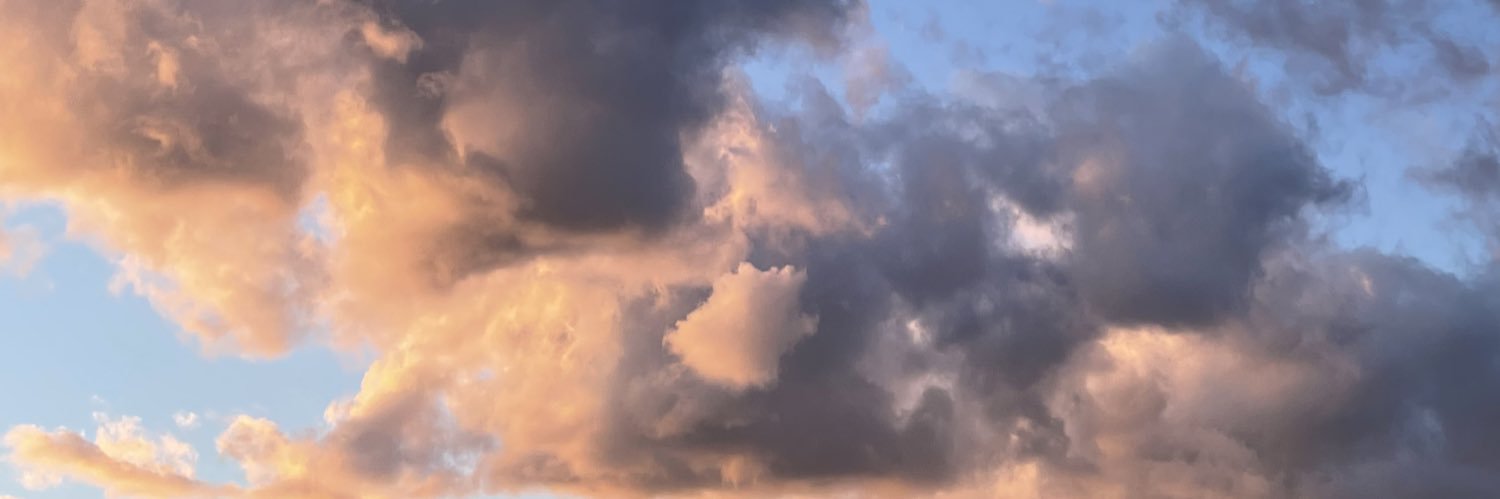 Paula Pacheco banner