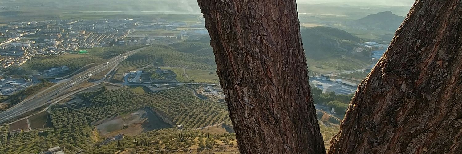 serch_314's profile banner image
