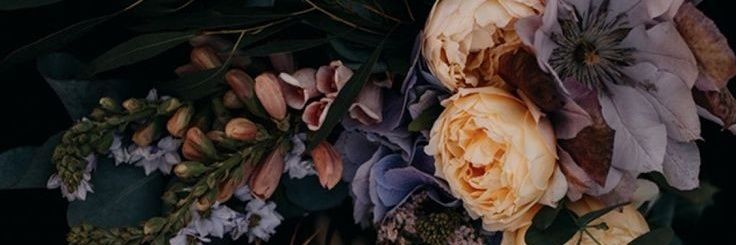 𝔄𝔠𝔦𝔡_𝔴𝔦𝔱𝔠𝔥 banner