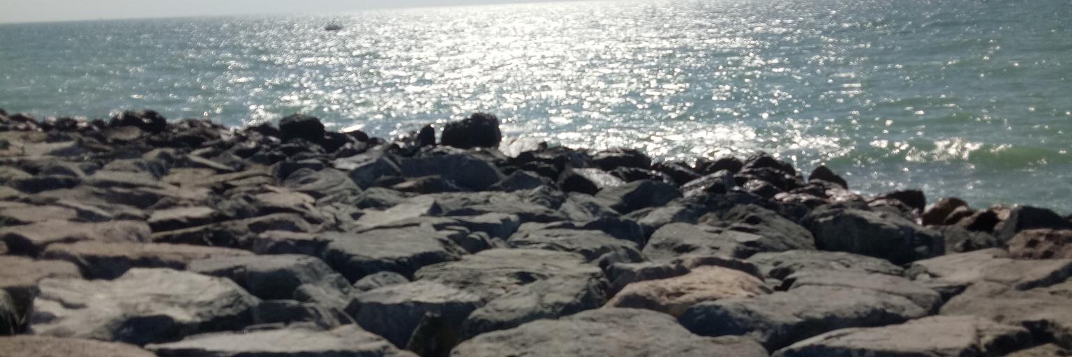 _archman_'s profile banner image