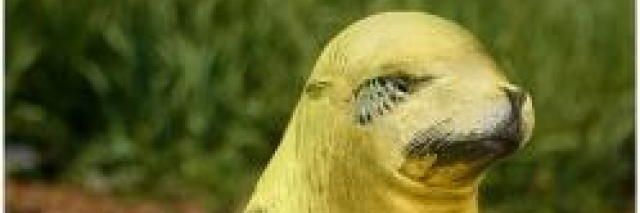 carlosalni's profile banner image