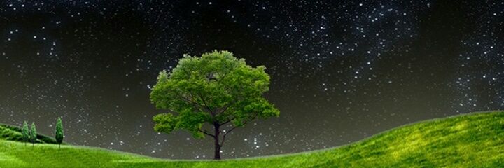 lalinho27's profile banner image