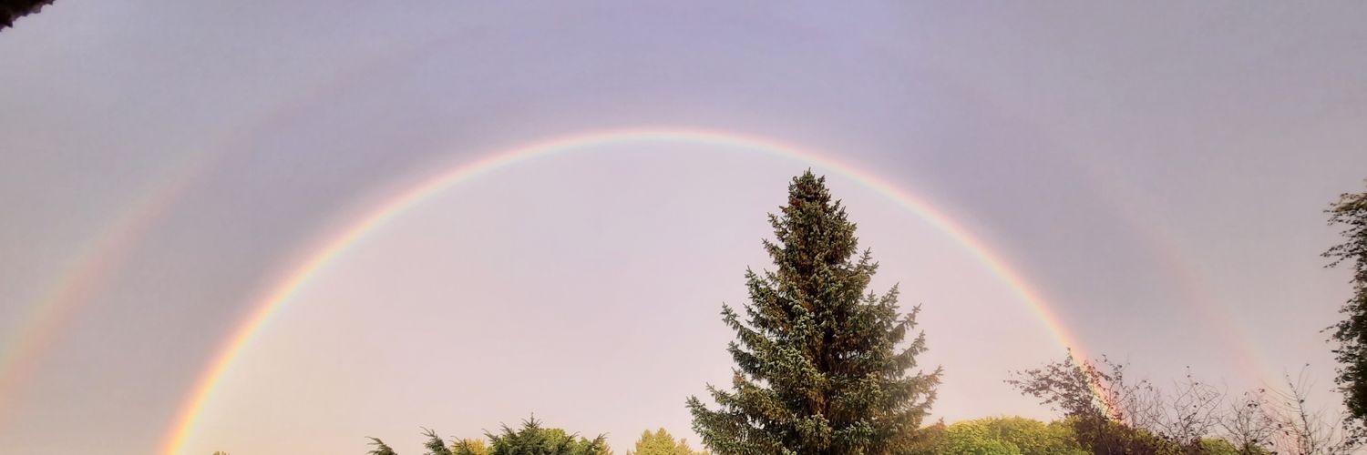Saskia Waschi banner