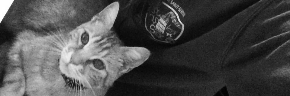 claracoq31's profile banner image