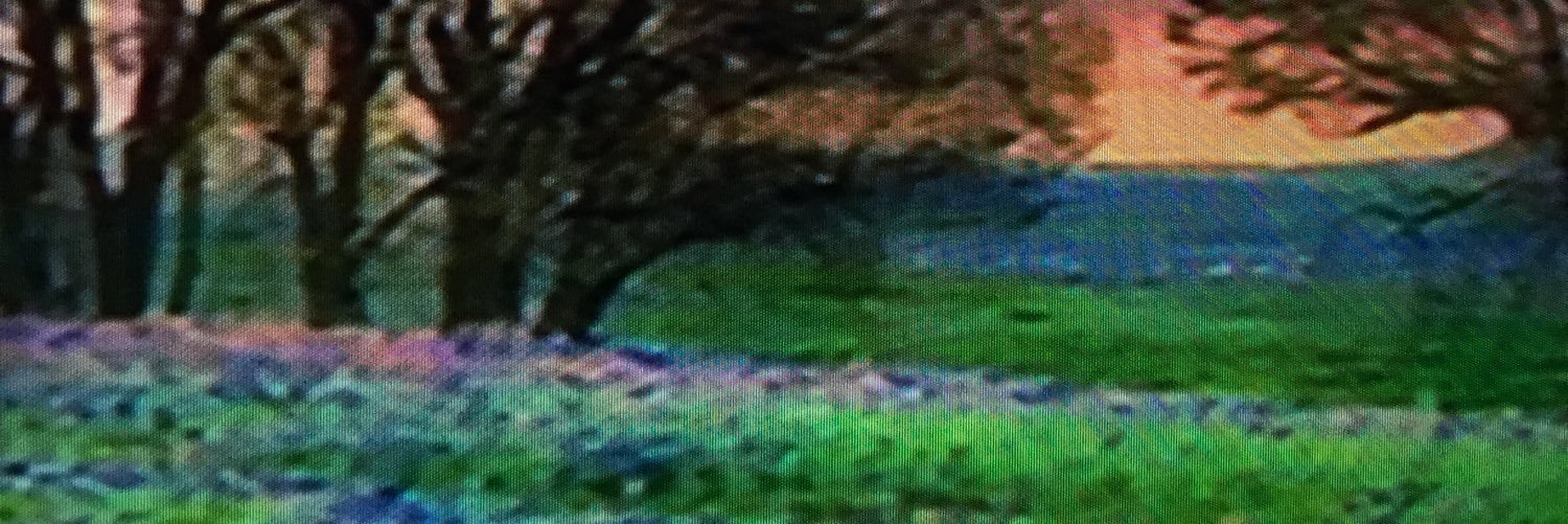kathyrileyish's profile banner image