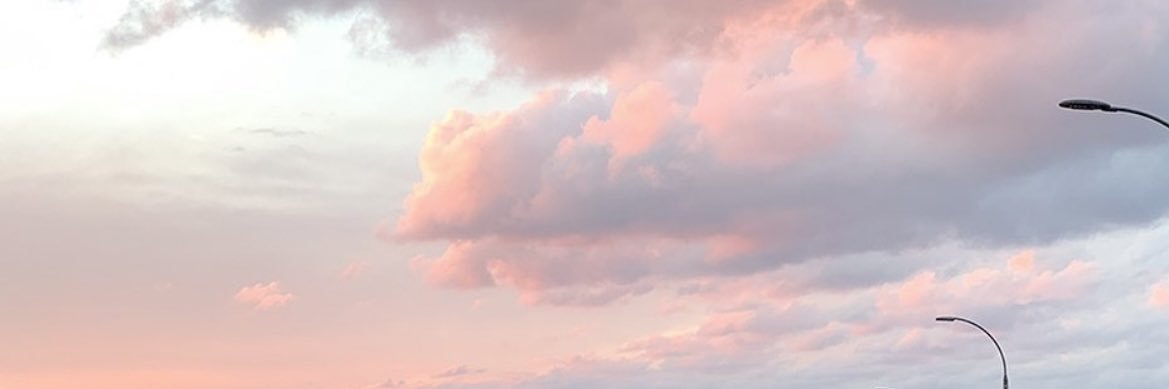 Suni's banner