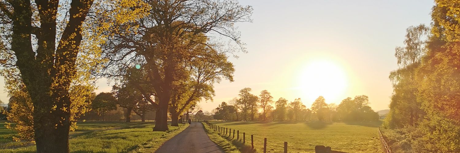 c_annear's profile banner image