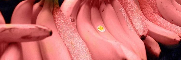 ruby alexandra banner