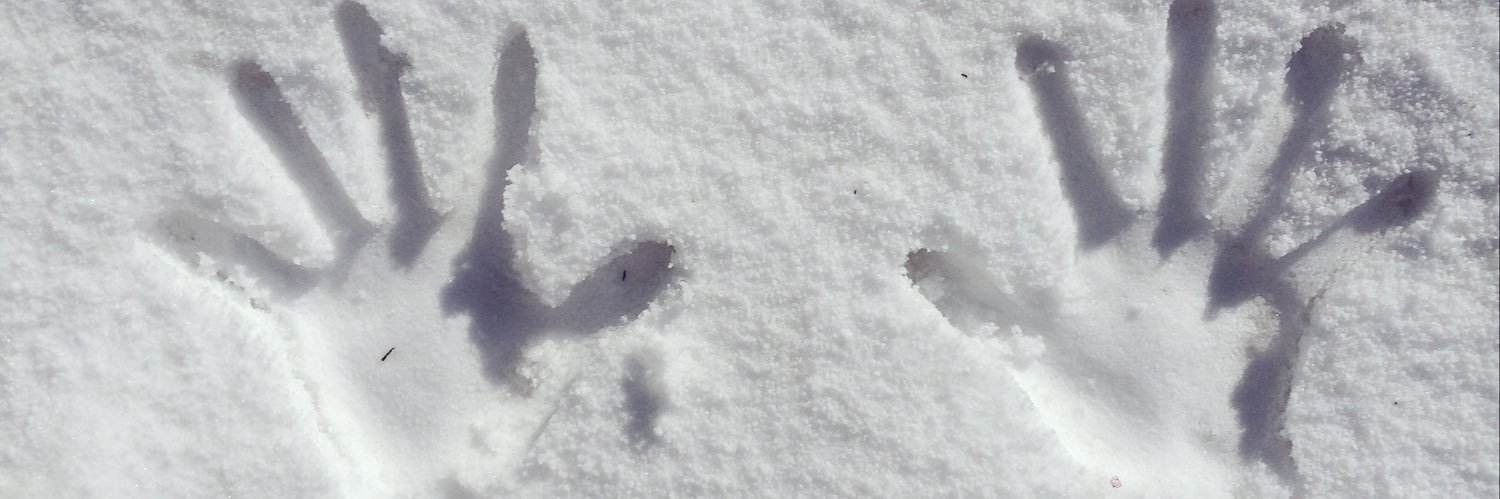 willwill429's profile banner image