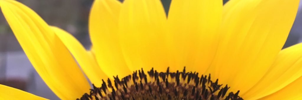JulMarieee's profile banner image