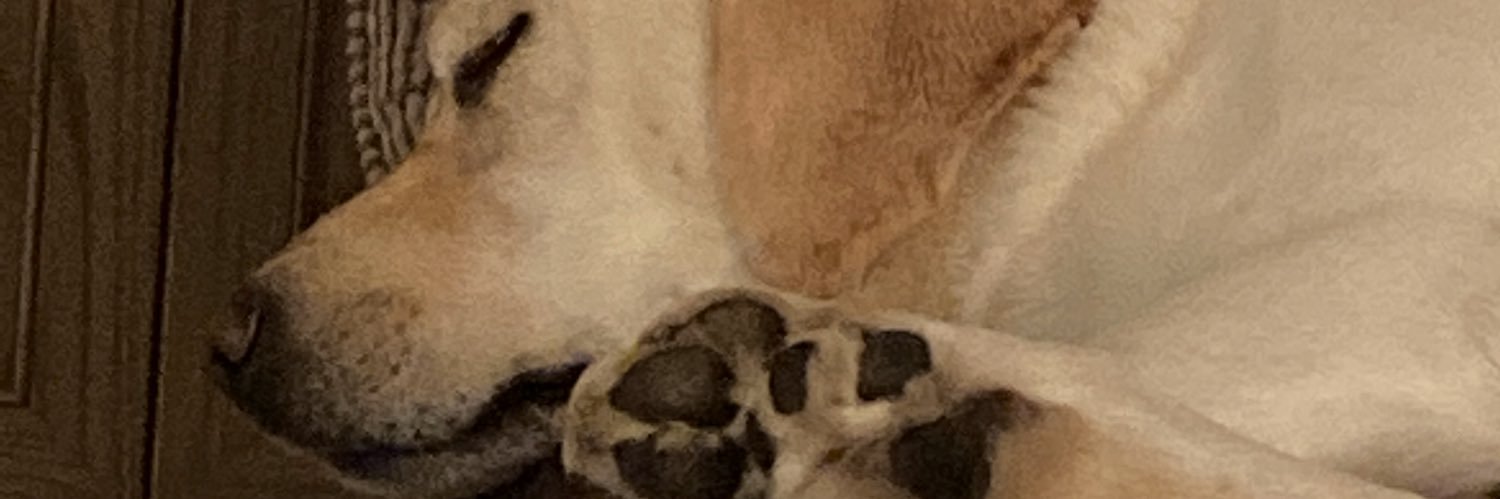 OGAM4's profile banner image