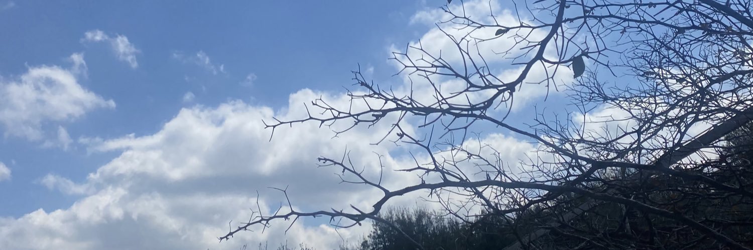 obeidadanhach's profile banner image