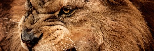 HunterEdwards16's profile banner image