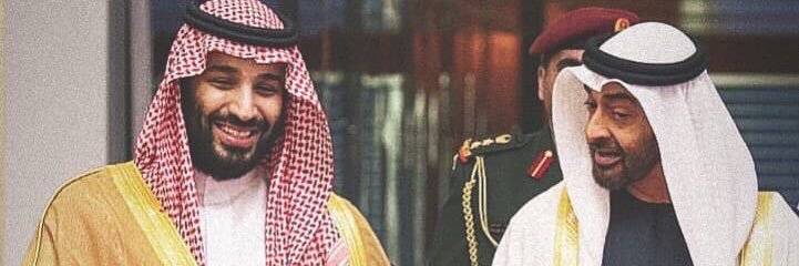 سلطان الشامسي banner